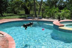 This pup loves to swim!