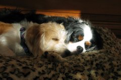 Napping