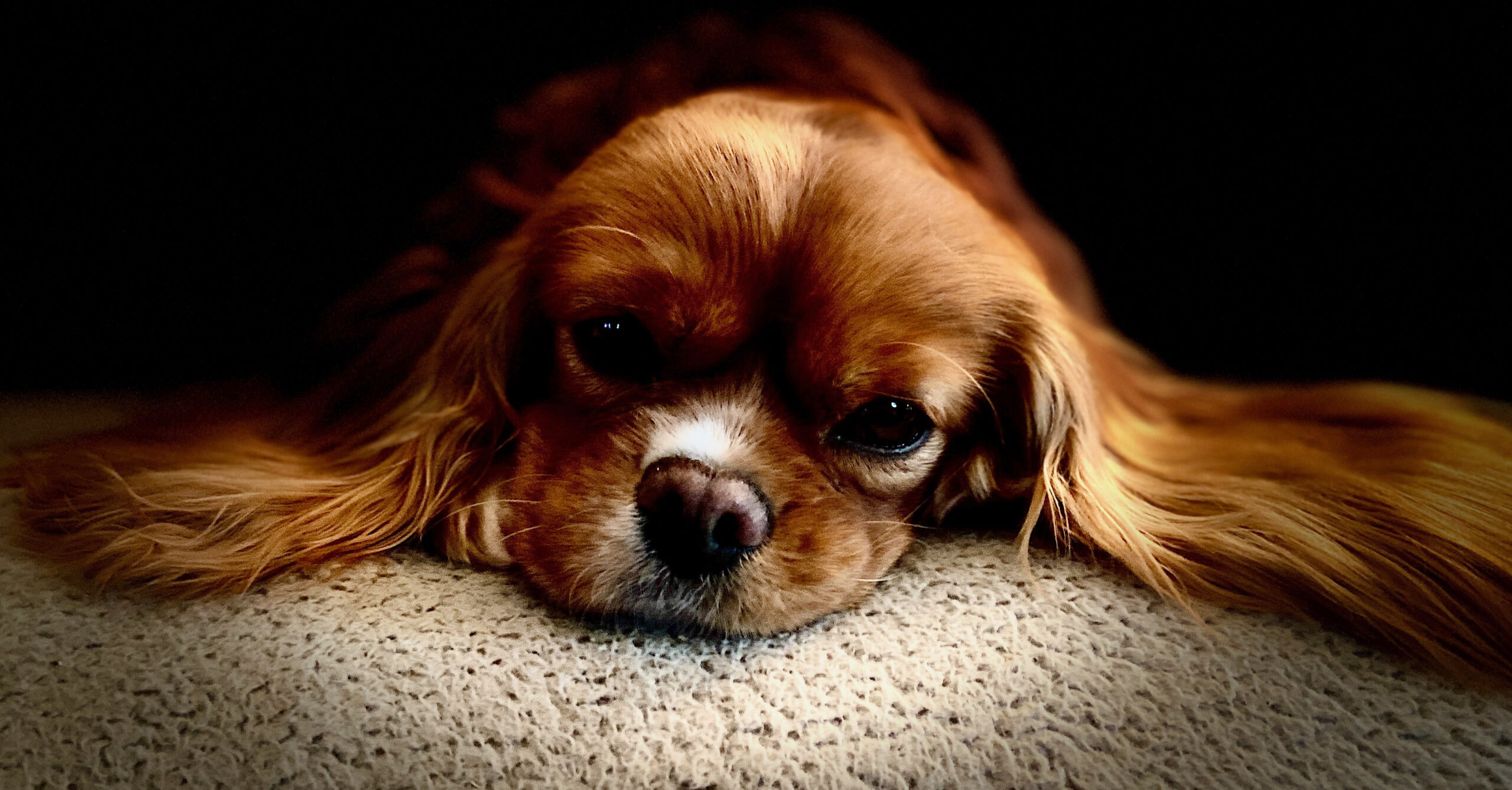 Ruthie in Cinnaminson, NJ