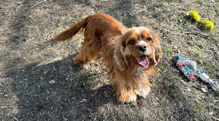 Sierra in Minneapolis, MN