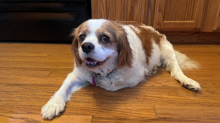 Lulu in Nashville, TN