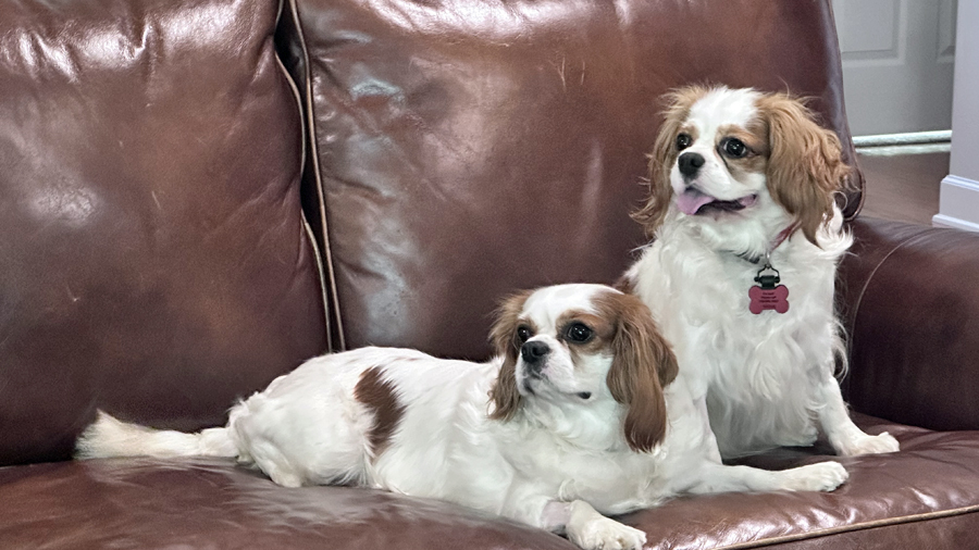 Perry and Wynne in Huntsville, AL