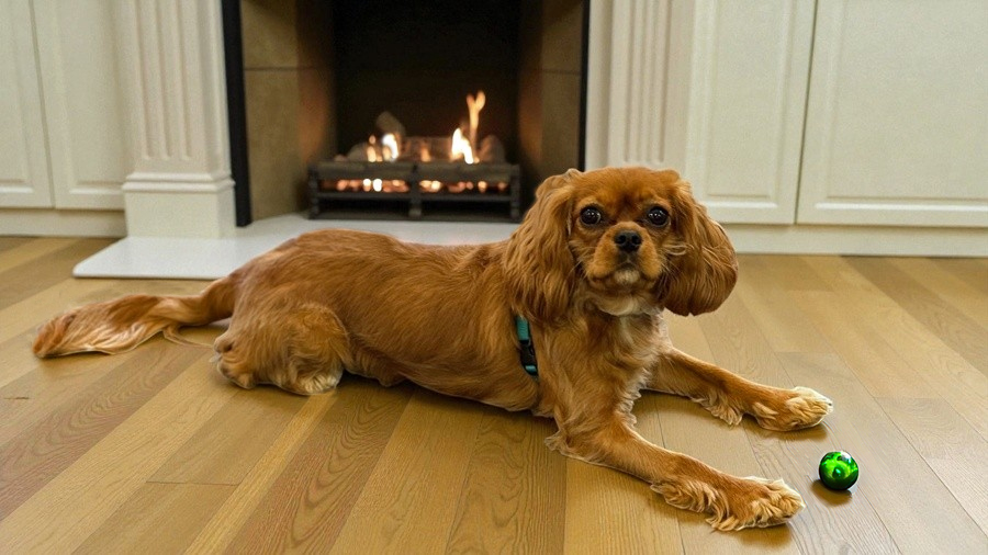 Bri in Harrisburg, PA