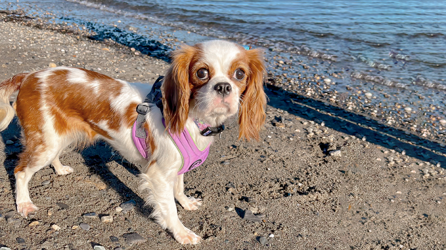 Fiona in Portsmouth, RI