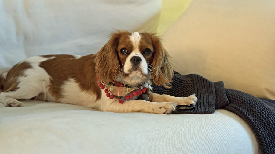 Gatsby in Woodland Hills, CA