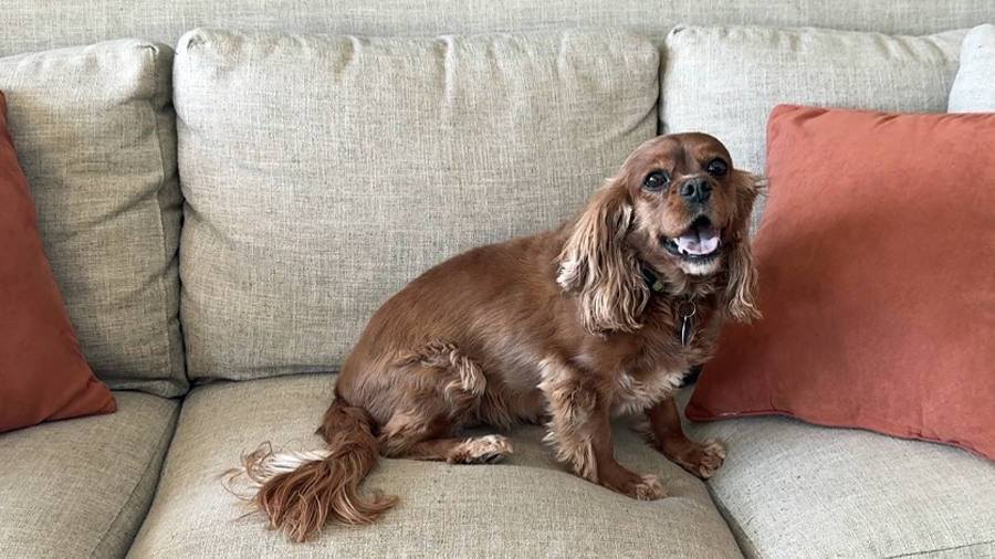 Mindy in Nashville, TN