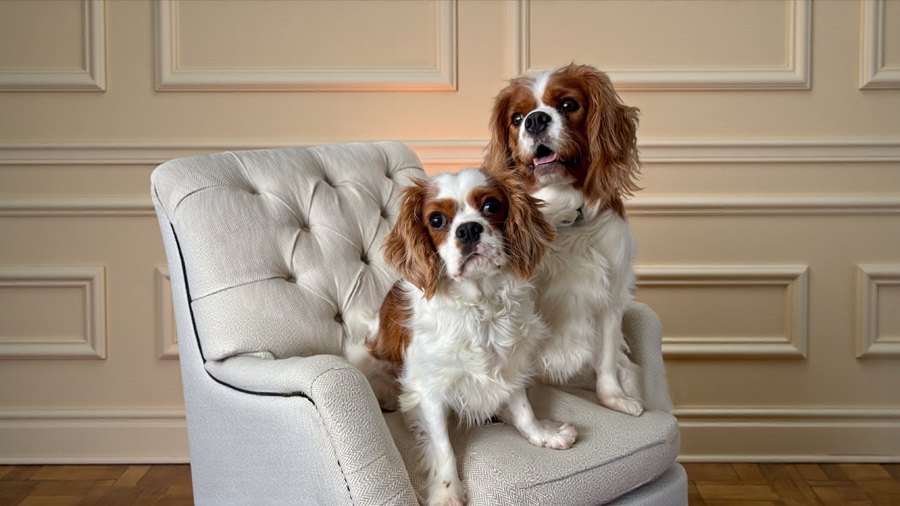 Popeye and Jiminy in Georgetown, KY