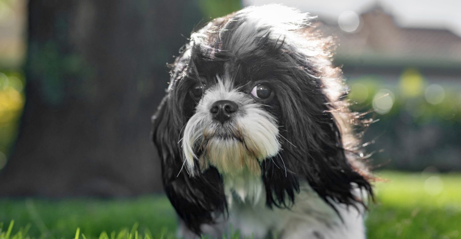 Parker in Banning, CA