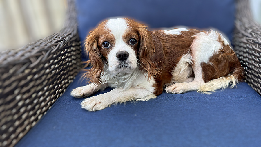 Baker in Nashville, TN