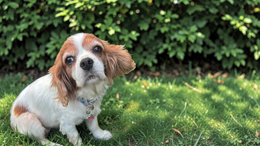 Ashleigh in Cranston, RI